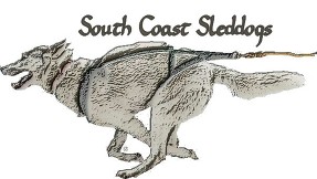 southcoastsleddogs