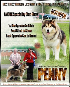 penny amcuk website